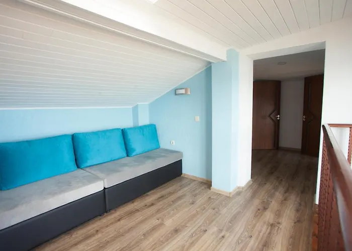 Relax تسيغوف تشارك