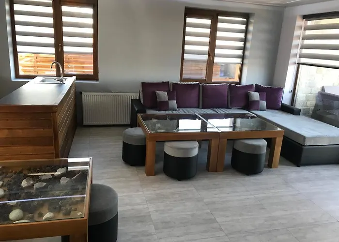 Relax تسيغوف تشارك