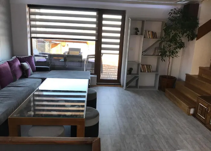 Relax فيلة تسيغوف تشارك