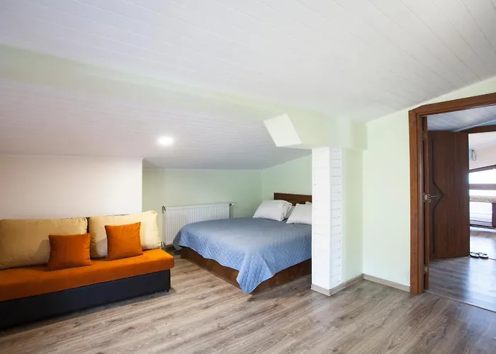 Relax فيلة تسيغوف تشارك