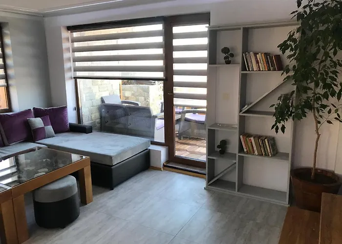 Relax تسيغوف تشارك